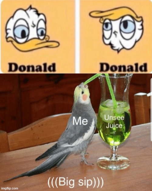 Let's count the folds on his chin | image tagged in unsee juice,memes,trump,donald duck | made w/ Imgflip meme maker