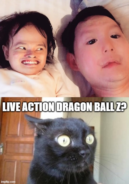 Would be better than the one they made. | LIVE ACTION DRAGON BALL Z? | image tagged in cannot be unseen cat,dbz,live action,face swap,i want to take his face off | made w/ Imgflip meme maker