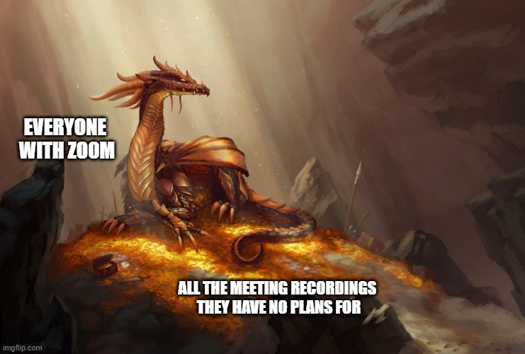 But what are you actually going to DO with it??? | EVERYONE 
WITH ZOOM; ALL THE MEETING RECORDINGS 
THEY HAVE NO PLANS FOR | image tagged in zoom,dragons | made w/ Imgflip meme maker