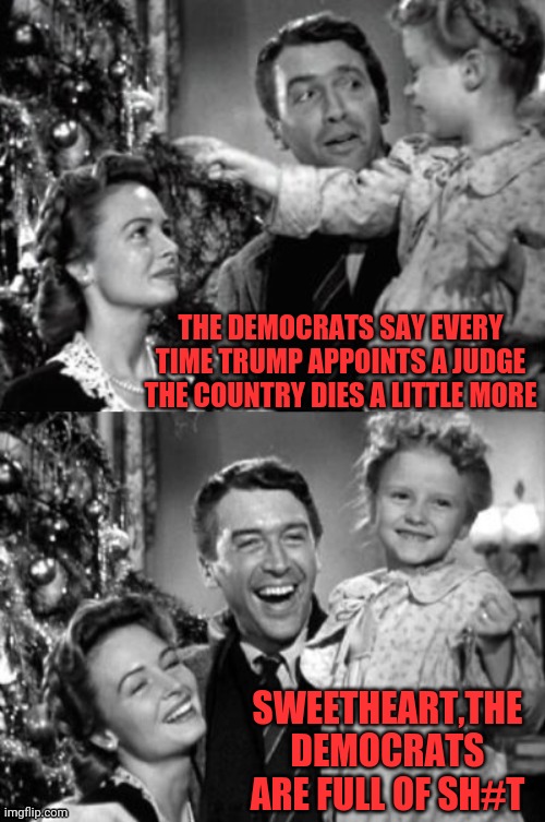 It's A Wonderful Life | THE DEMOCRATS SAY EVERY TIME TRUMP APPOINTS A JUDGE THE COUNTRY DIES A LITTLE MORE SWEETHEART,THE DEMOCRATS ARE FULL OF SH#T | image tagged in it's a wonderful life | made w/ Imgflip meme maker