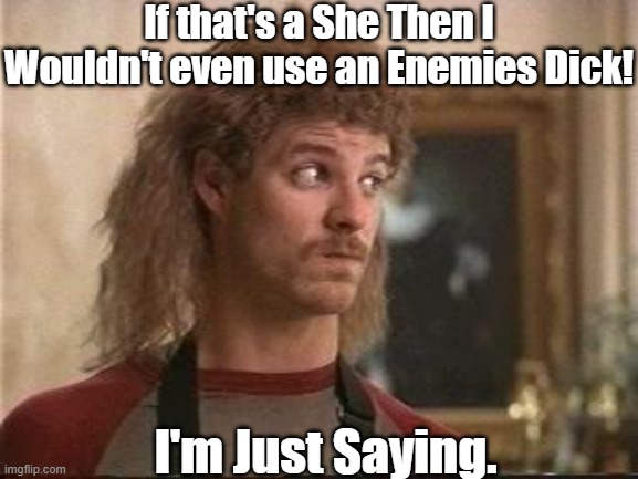 orgazmo  | If that's a She Then I Wouldn't even use an Enemies Dick! I'm Just Saying. | image tagged in orgazmo | made w/ Imgflip meme maker