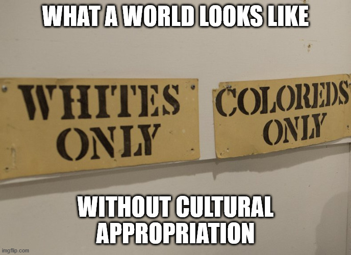 Assimilation is the highest respect towards another persons culture. | WHAT A WORLD LOOKS LIKE; WITHOUT CULTURAL APPROPRIATION | image tagged in history matters,cultures form from appropriation,japan borrowed from china as an example,china borrowed from india as an example | made w/ Imgflip meme maker