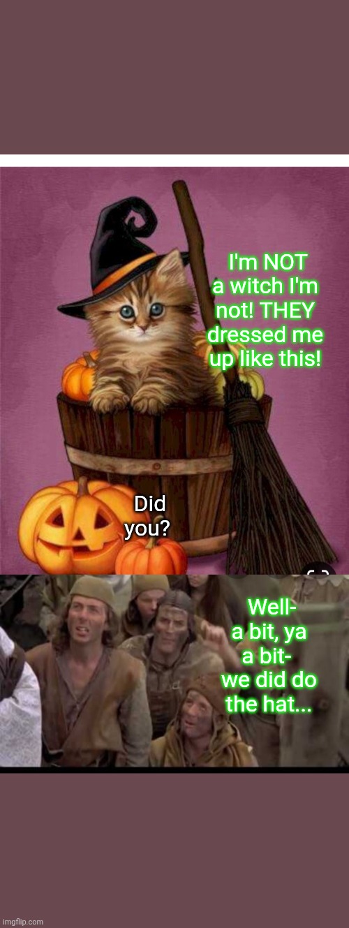 Not a witch- No Burning! | Did you? I'm NOT a witch I'm not! THEY dressed me up like this! Well- a bit, ya a bit-  we did do the hat... | image tagged in cute kitten | made w/ Imgflip meme maker