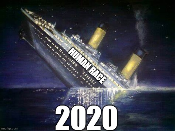 Summary of 2020 | HUMAN RACE; 2020 | image tagged in real life,when life gives you lemons | made w/ Imgflip meme maker