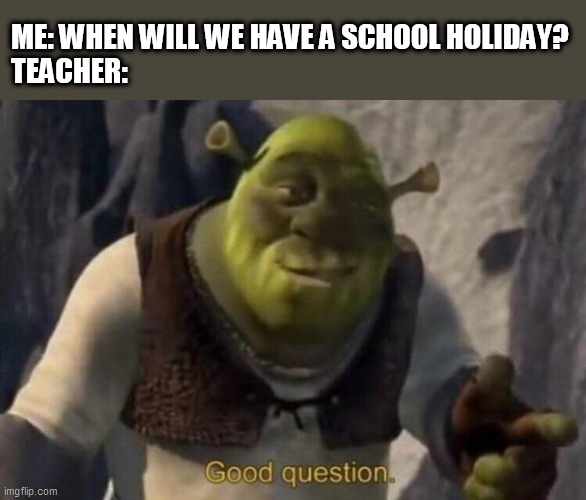 My Meme of School #10 | ME: WHEN WILL WE HAVE A SCHOOL HOLIDAY?
TEACHER: | image tagged in shrek good question | made w/ Imgflip meme maker