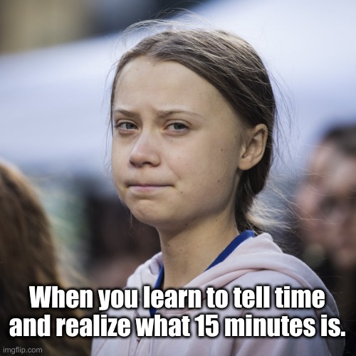 Bye Felicia | When you learn to tell time and realize what 15 minutes is. | image tagged in greta thunberg,chicken little,15 minutes of fame | made w/ Imgflip meme maker