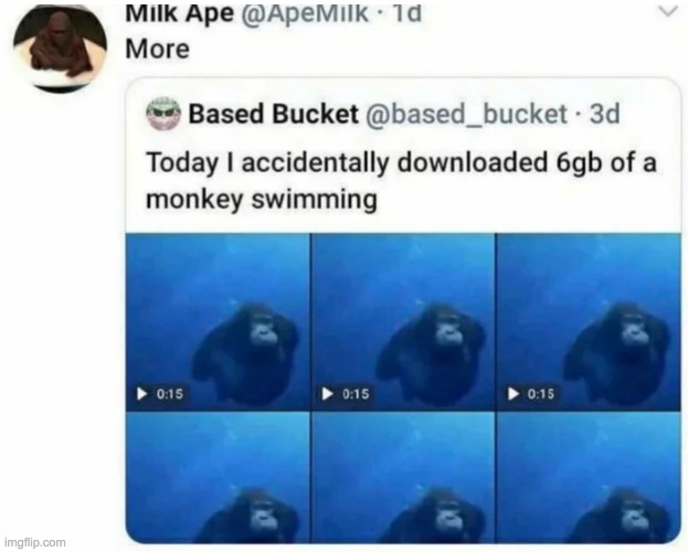 More Swimming monke | image tagged in embrace monke | made w/ Imgflip meme maker