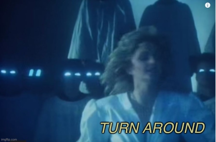 Bonnie Tyler | TURN AROUND | image tagged in bonnie tyler | made w/ Imgflip meme maker