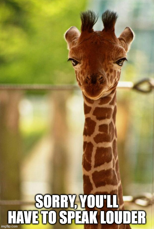 no comment giraffe | SORRY, YOU'LL HAVE TO SPEAK LOUDER | image tagged in no comment giraffe | made w/ Imgflip meme maker