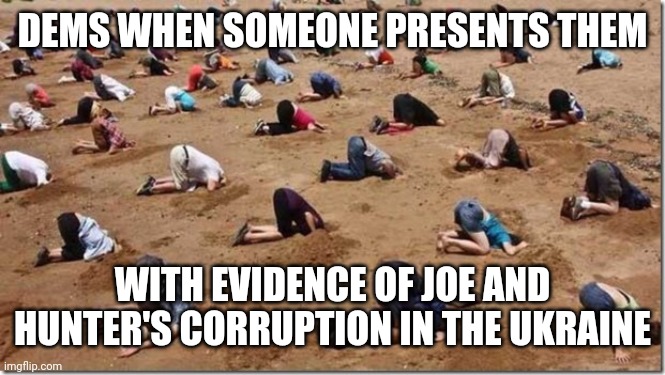 Head in sand | DEMS WHEN SOMEONE PRESENTS THEM WITH EVIDENCE OF JOE AND HUNTER'S CORRUPTION IN THE UKRAINE | image tagged in head in sand | made w/ Imgflip meme maker