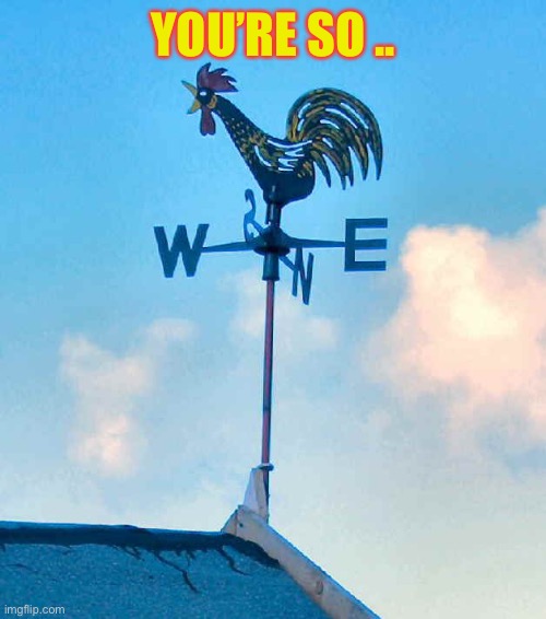 Weather Vane | YOU’RE SO .. | image tagged in weather vane | made w/ Imgflip meme maker