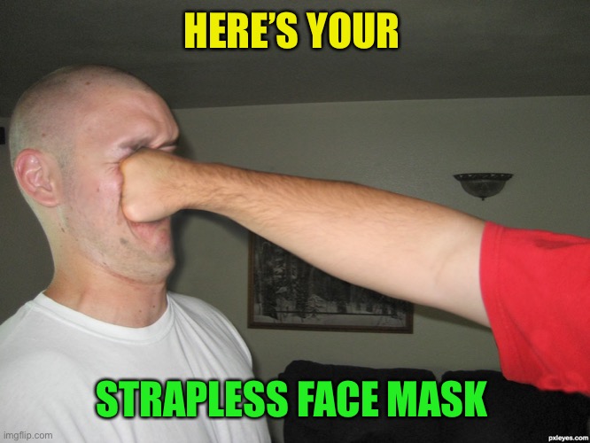 Face punch | HERE’S YOUR STRAPLESS FACE MASK | image tagged in face punch | made w/ Imgflip meme maker
