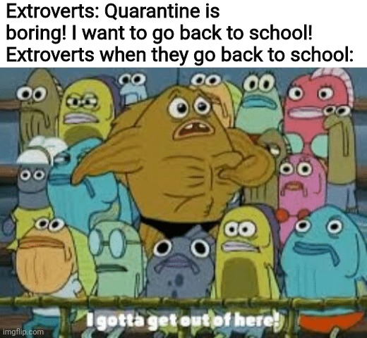 It's true. We all know it | Extroverts: Quarantine is boring! I want to go back to school!
Extroverts when they go back to school: | image tagged in i gotta get out of here,memes,quarantine,covid-19,extroverts | made w/ Imgflip meme maker