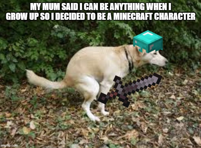 Dog pooping  | MY MUM SAID I CAN BE ANYTHING WHEN I GROW UP SO I DECIDED TO BE A MINECRAFT CHARACTER | image tagged in dog pooping | made w/ Imgflip meme maker
