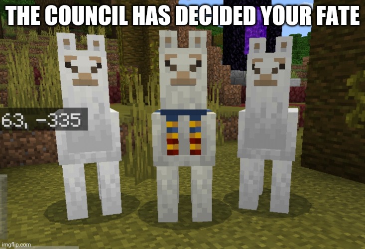 The llama council | THE COUNCIL HAS DECIDED YOUR FATE | image tagged in the llama council | made w/ Imgflip meme maker