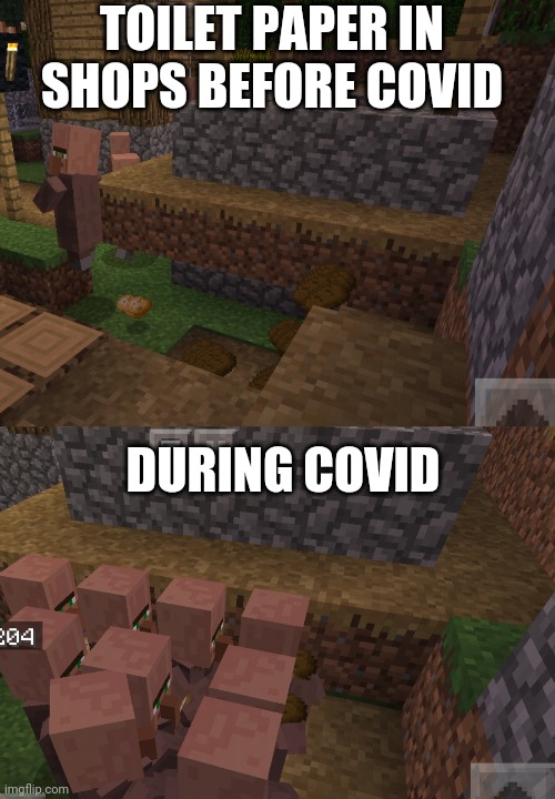 Villager | TOILET PAPER IN SHOPS BEFORE COVID; DURING COVID | image tagged in minecraft villagers | made w/ Imgflip meme maker
