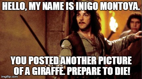 HELLO, MY NAME IS INIGO MONTOYA. YOU POSTED ANOTHER PICTURE OF A GIRAFFE. PREPARE TO DIE! | image tagged in inigo | made w/ Imgflip meme maker