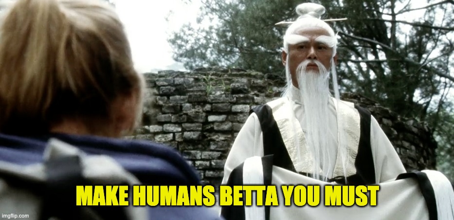 pai mai | MAKE HUMANS BETTA YOU MUST | image tagged in paimei,kungfu | made w/ Imgflip meme maker