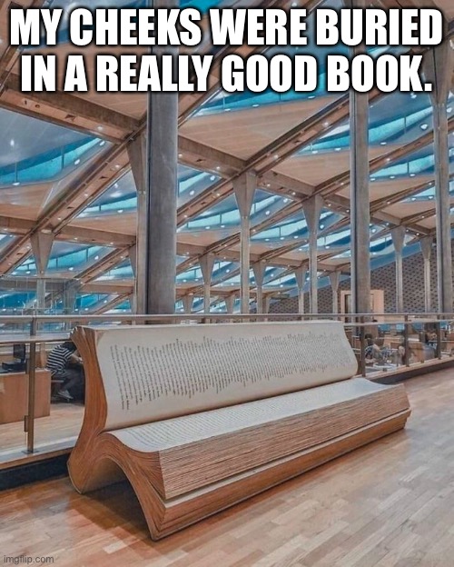 A Good Read | MY CHEEKS WERE BURIED IN A REALLY GOOD BOOK. | image tagged in funny memes,books | made w/ Imgflip meme maker