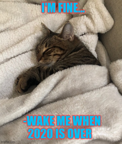 Cat-napping till 2021 | I'M FINE... -WAKE ME WHEN 2020 IS OVER | image tagged in science cat good day | made w/ Imgflip meme maker