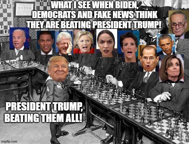 What I See When Biden, Democrats, and Fake News Think They Are Beating President Trump! | image tagged in stupid liberals,democrats,biden,crazy aoc,nancy pelosi,barack obama | made w/ Imgflip meme maker