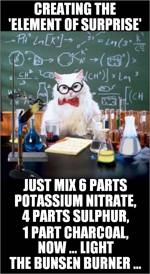The Alchemist Cat | CREATING THE 'ELEMENT OF SURPRISE'; JUST MIX 6 PARTS POTASSIUM NITRATE, 4 PARTS SULPHUR, 1 PART CHARCOAL, NOW … LIGHT THE BUNSEN BURNER … | image tagged in memes,chemistry cat,funny,chemistry,black powder | made w/ Imgflip meme maker