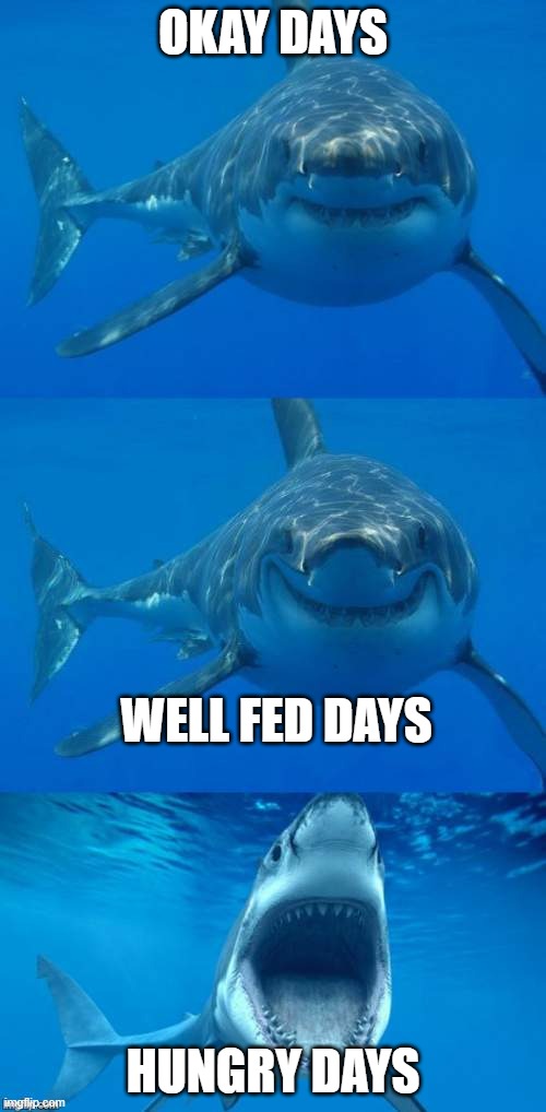 Time for breakfast | OKAY DAYS; WELL FED DAYS; HUNGRY DAYS | image tagged in bad shark pun | made w/ Imgflip meme maker
