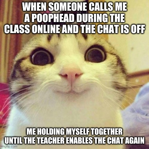 Smiling Cat | WHEN SOMEONE CALLS ME A POOPHEAD DURING THE CLASS ONLINE AND THE CHAT IS OFF; ME HOLDING MYSELF TOGETHER UNTIL THE TEACHER ENABLES THE CHAT AGAIN | image tagged in memes,smiling cat | made w/ Imgflip meme maker