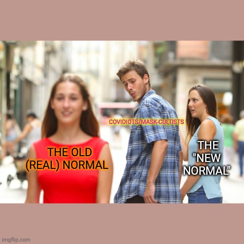 Is it getting Old yet? | COVIDIOTS/MASK-CULTISTS; THE "NEW NORMAL"; THE OLD (REAL) NORMAL | image tagged in memes,distracted boyfriend,stupid liberals,face mask,cult,vote trump | made w/ Imgflip meme maker