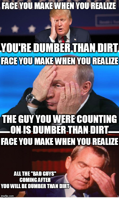 Dumber. Than. Dirt. | FACE YOU MAKE WHEN YOU REALIZE; YOU'RE DUMBER THAN DIRT; FACE YOU MAKE WHEN YOU REALIZE; THE GUY YOU WERE COUNTING ON IS DUMBER THAN DIRT; FACE YOU MAKE WHEN YOU REALIZE; ALL THE "BAD GUYS" COMING AFTER
YOU WILL BE DUMBER THAN DIRT | image tagged in nixon,putin,trump,dumb,cartoon,villains | made w/ Imgflip meme maker