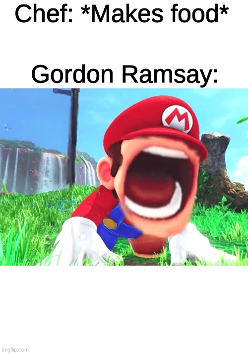 oof | Chef: *Makes food*; Gordon Ramsay: | image tagged in mario screaming | made w/ Imgflip meme maker