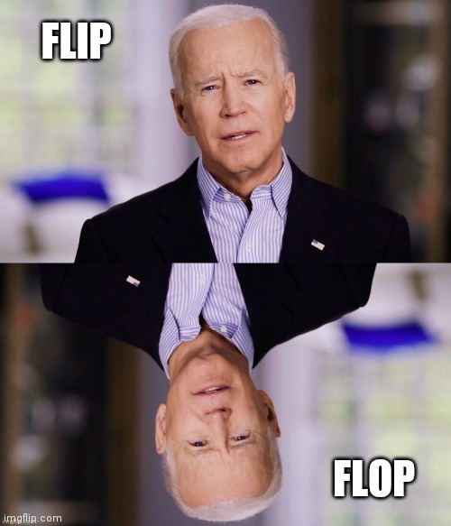 FLIP; FLOP | image tagged in joe biden 2020 | made w/ Imgflip meme maker