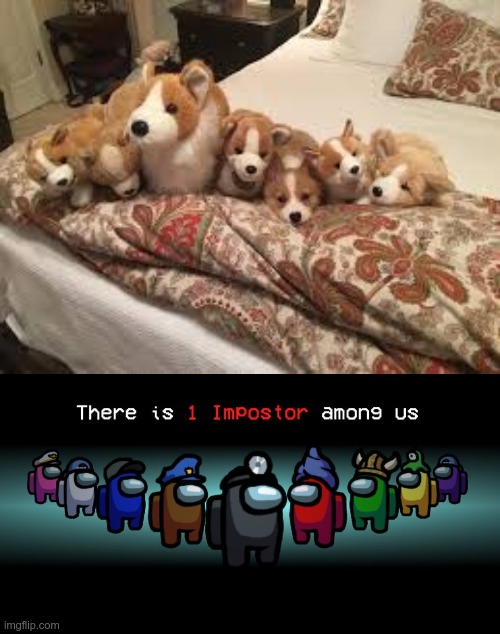 i think its big doggo | image tagged in there is one impostor among us,doggo | made w/ Imgflip meme maker