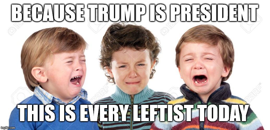 BECAUSE TRUMP IS PRESIDENT THIS IS EVERY LEFTIST TODAY | made w/ Imgflip meme maker