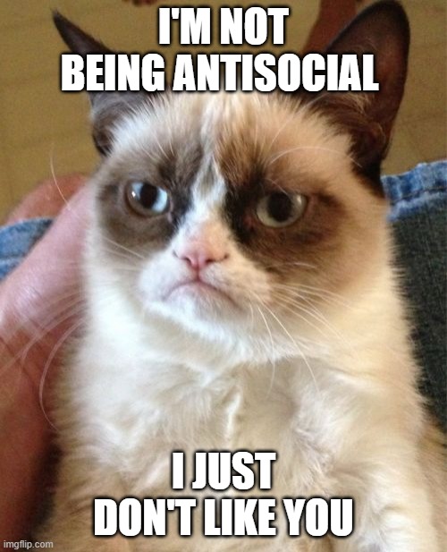 Grumpy Cat Meme | I'M NOT BEING ANTISOCIAL; I JUST DON'T LIKE YOU | image tagged in memes,grumpy cat | made w/ Imgflip meme maker