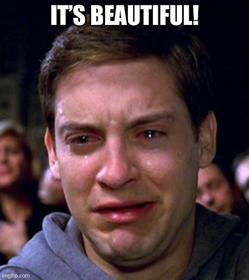 crying peter parker | IT’S BEAUTIFUL! | image tagged in crying peter parker | made w/ Imgflip meme maker