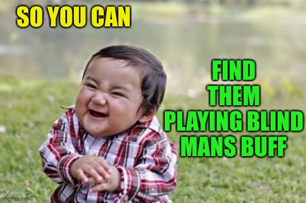 Evil Toddler Meme | SO YOU CAN FIND THEM PLAYING BLIND MANS BUFF | image tagged in memes,evil toddler | made w/ Imgflip meme maker