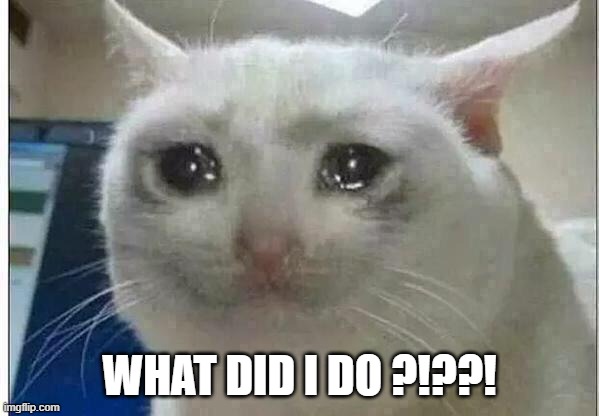 crying cat | WHAT DID I DO ?!??! | image tagged in crying cat | made w/ Imgflip meme maker
