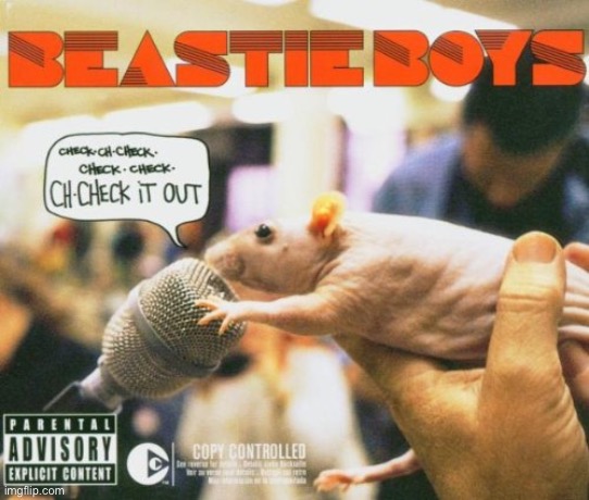 Beastie boys check it out | image tagged in beastie boys check it out | made w/ Imgflip meme maker