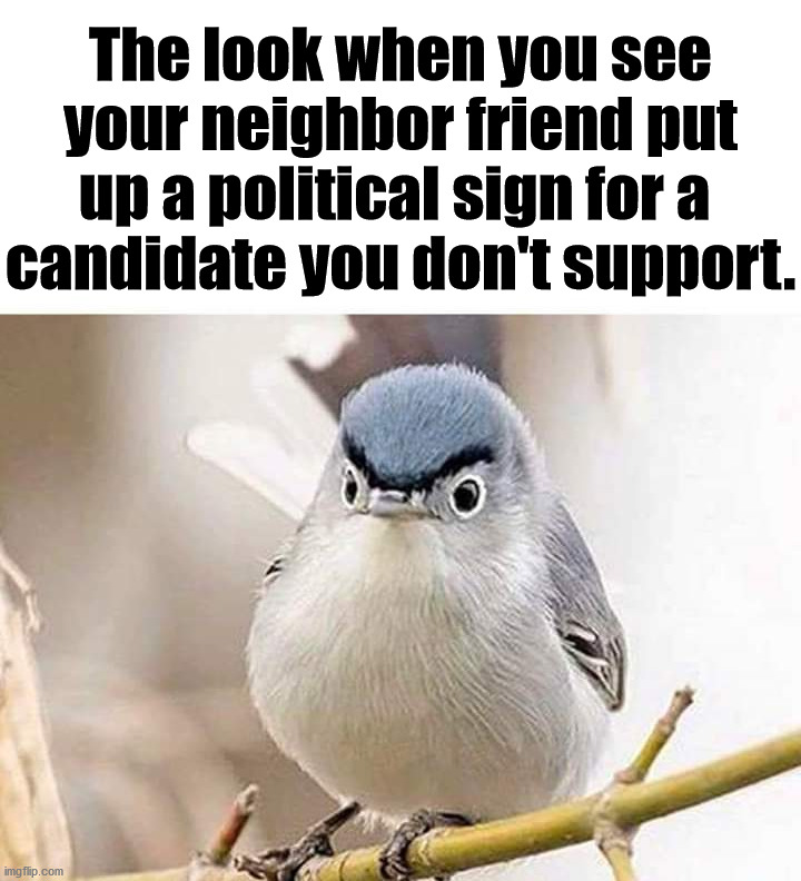 Whatcha doing Ted? | The look when you see your neighbor friend put up a political sign for a 
candidate you don't support. | image tagged in neighbor,political meme,election 2020,joe biden,donald trump | made w/ Imgflip meme maker
