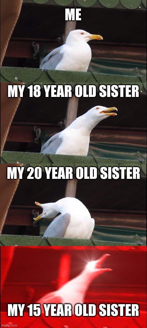 Does anyone else know what I'm talking about? | ME; MY 18 YEAR OLD SISTER; MY 20 YEAR OLD SISTER; MY 15 YEAR OLD SISTER | image tagged in memes,inhaling seagull,sisters,teenagers | made w/ Imgflip meme maker