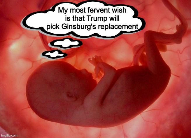 Vote for TobyThePug's Justice Party in the IMGFLIP_PRESIDENTS stream on October 29 | My most fervent wish is that Trump will pick Ginsburg's replacement | image tagged in fetus,memes,politics,abortion,ruth bader ginsburg,donald trump | made w/ Imgflip meme maker