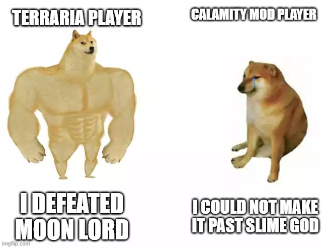 Buff Doge vs. Cheems Meme | CALAMITY MOD PLAYER; TERRARIA PLAYER; I DEFEATED MOON LORD; I COULD NOT MAKE IT PAST SLIME GOD | image tagged in buff doge vs cheems | made w/ Imgflip meme maker