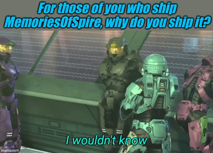 I need answers | For those of you who ship MemoriesOfSpire, why do you ship it? | image tagged in i wouldn't know | made w/ Imgflip meme maker