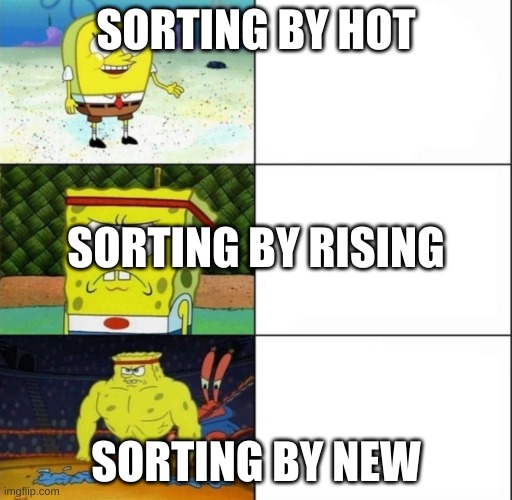 Spongebob meme format | SORTING BY HOT; SORTING BY RISING; SORTING BY NEW | image tagged in spongebob meme format | made w/ Imgflip meme maker