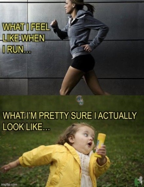 so true | image tagged in lol,memes | made w/ Imgflip meme maker