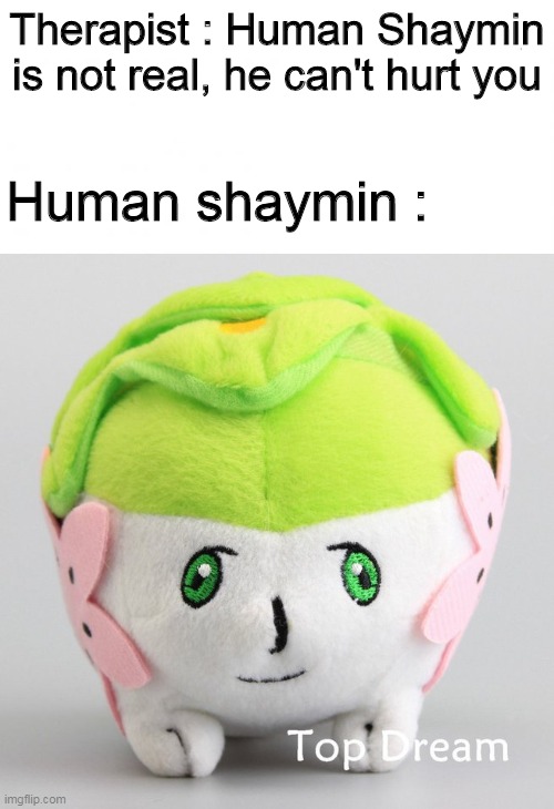 Therapist : Human Shaymin is not real, he can't hurt you; Human shaymin : | image tagged in en blanco | made w/ Imgflip meme maker