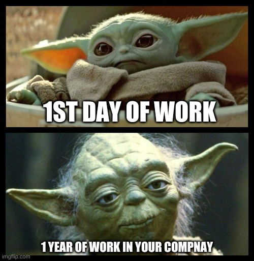 baby yoda | 1ST DAY OF WORK; 1 YEAR OF WORK IN YOUR COMPNAY | image tagged in baby yoda | made w/ Imgflip meme maker