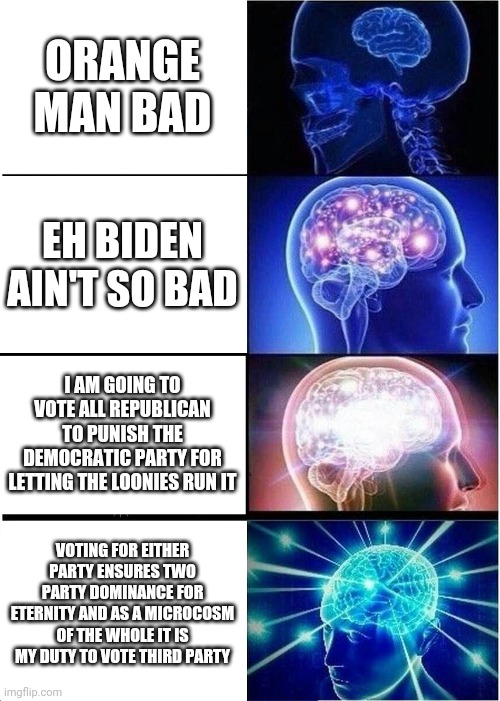 Voter intelligence levels | ORANGE MAN BAD; EH BIDEN AIN'T SO BAD; I AM GOING TO VOTE ALL REPUBLICAN TO PUNISH THE DEMOCRATIC PARTY FOR LETTING THE LOONIES RUN IT; VOTING FOR EITHER PARTY ENSURES TWO PARTY DOMINANCE FOR ETERNITY AND AS A MICROCOSM OF THE WHOLE IT IS MY DUTY TO VOTE THIRD PARTY | image tagged in memes,expanding brain,voting,election 2020 | made w/ Imgflip meme maker