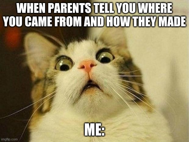 My childhood | WHEN PARENTS TELL YOU WHERE YOU CAME FROM AND HOW THEY MADE; ME: | image tagged in memes,scared cat | made w/ Imgflip meme maker